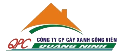 Cây xanh công viên Quảng Ninh